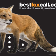 Lifesize Double Sided Fox Targets – Pack of 5