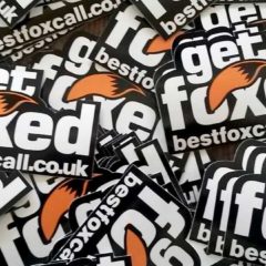 Get Foxed Stickers x 5