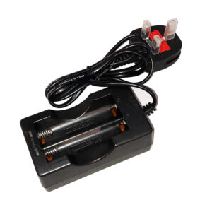 Dual Bay 18650 Charger