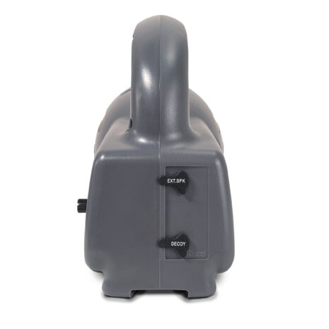 Rascal-Back-View Rascal-Back-View