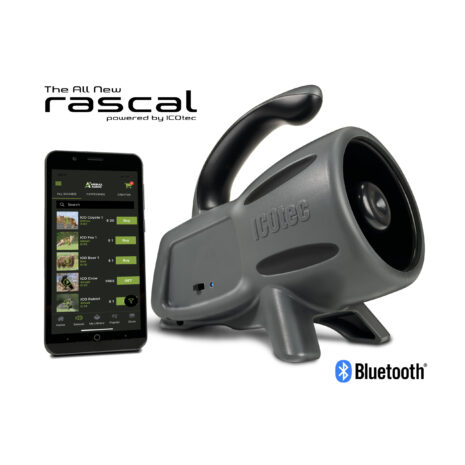 Rascal-with-AA-App-scaled